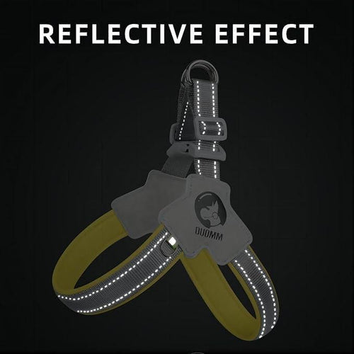 Harnais Anti‑Traction pour Chien et Chat – Ensemble Harnais + Laisse, Ajustable, Confortable, Réfléchissant, No‑Pull & Easy Control