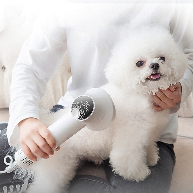 Sèche‑cheveux intelligent NEX 2‑en‑1 pour chiens et chats – Séchage + brossage